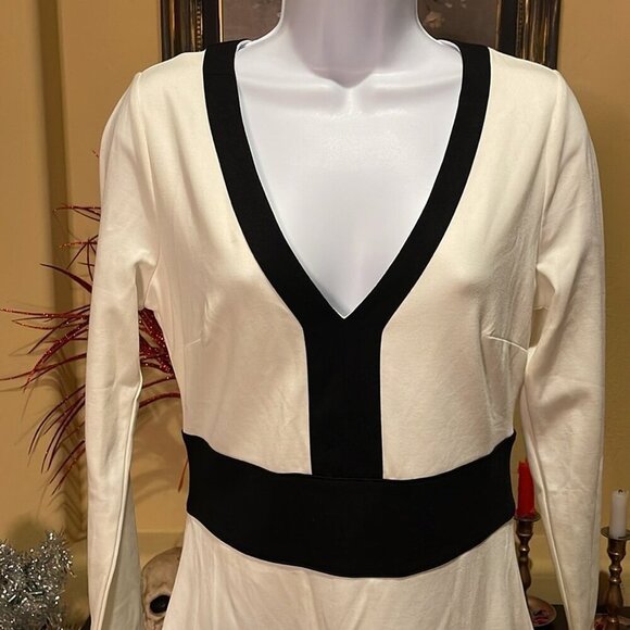 No.237 ✨ NWT BEBE Color-block Ponte V-neck Dress ✨ - Picture 4 of 14